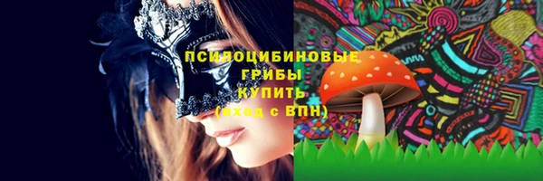 гашиш Богданович
