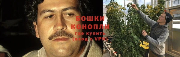 гашиш Богданович