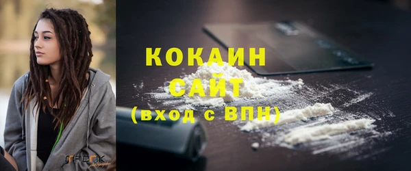 молекула духа Богородицк