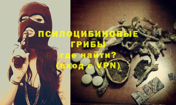 гидра Липки
