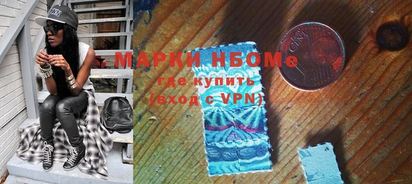 молекула духа Богородицк