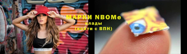 молекула духа Богородицк