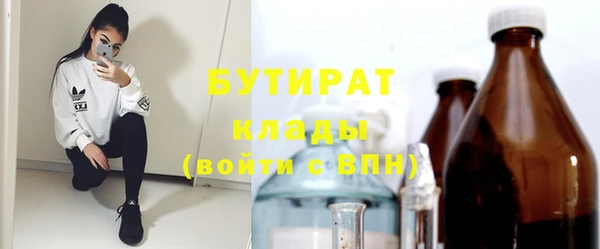 молекула духа Богородицк