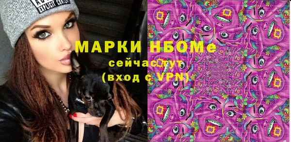 гашиш Богданович