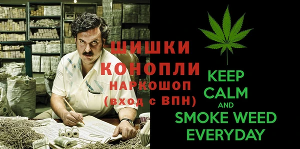 молекула духа Богородицк