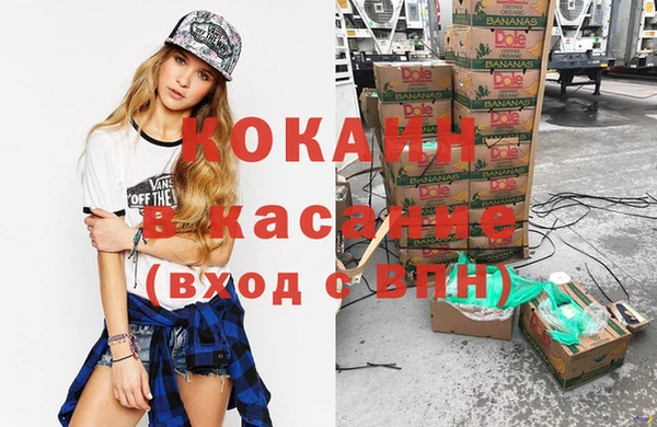 молекула духа Богородицк