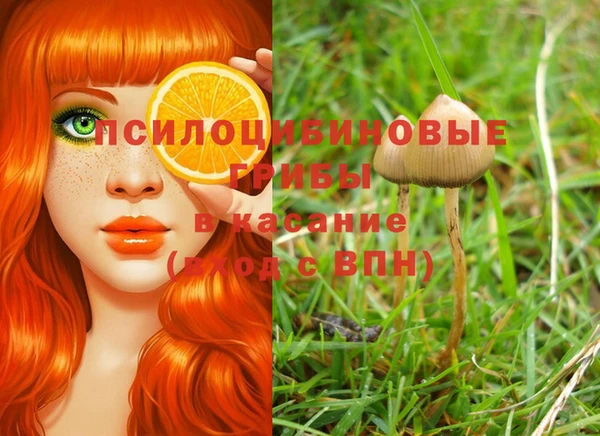 гашиш Богданович