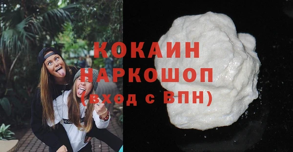 молекула духа Богородицк