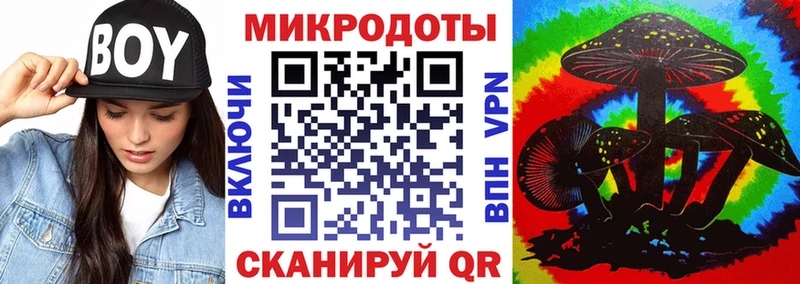 как найти   Дятьково  Галлюциногенные грибы Psilocybe 